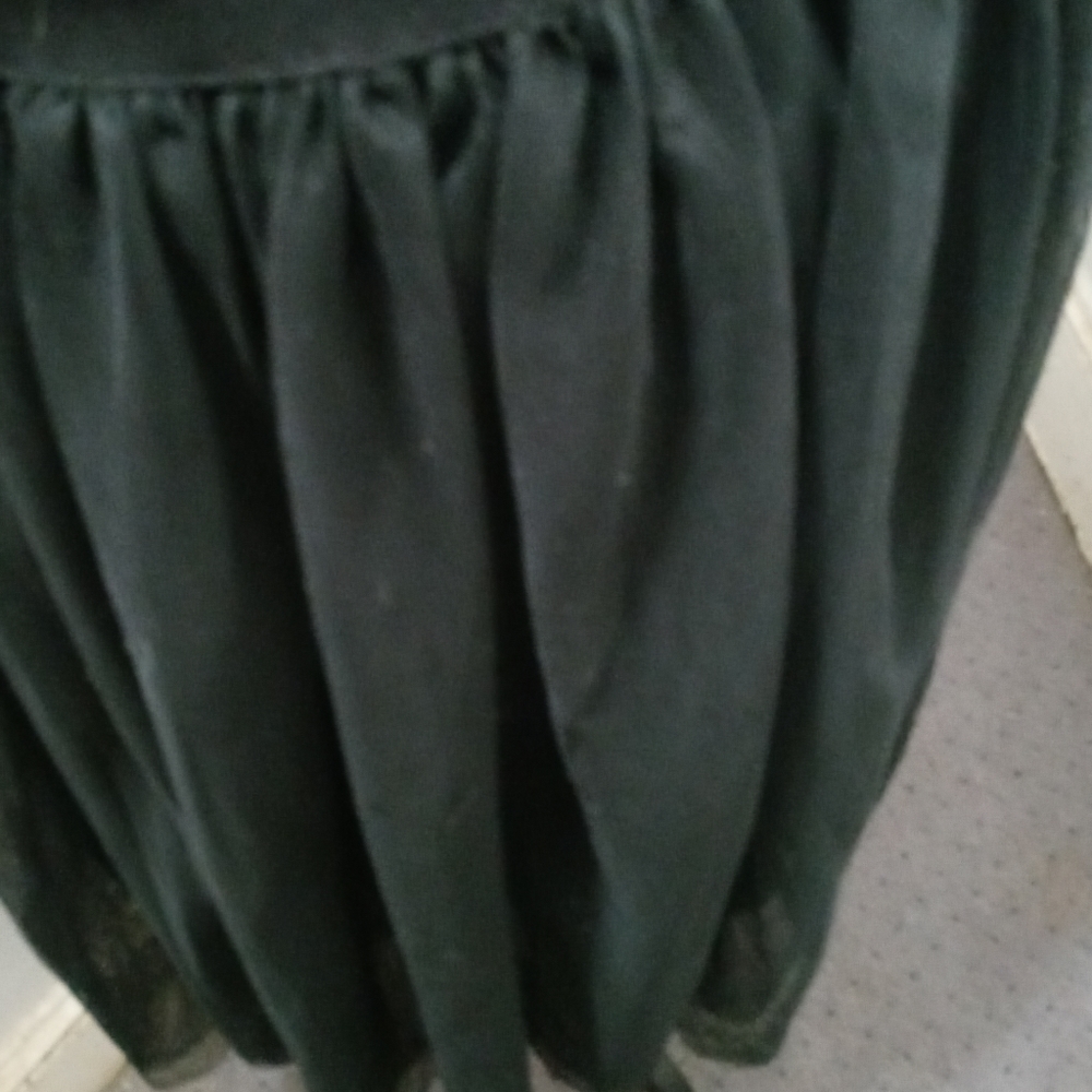 Sugar and Lips Black Sheer Skirt with Lining